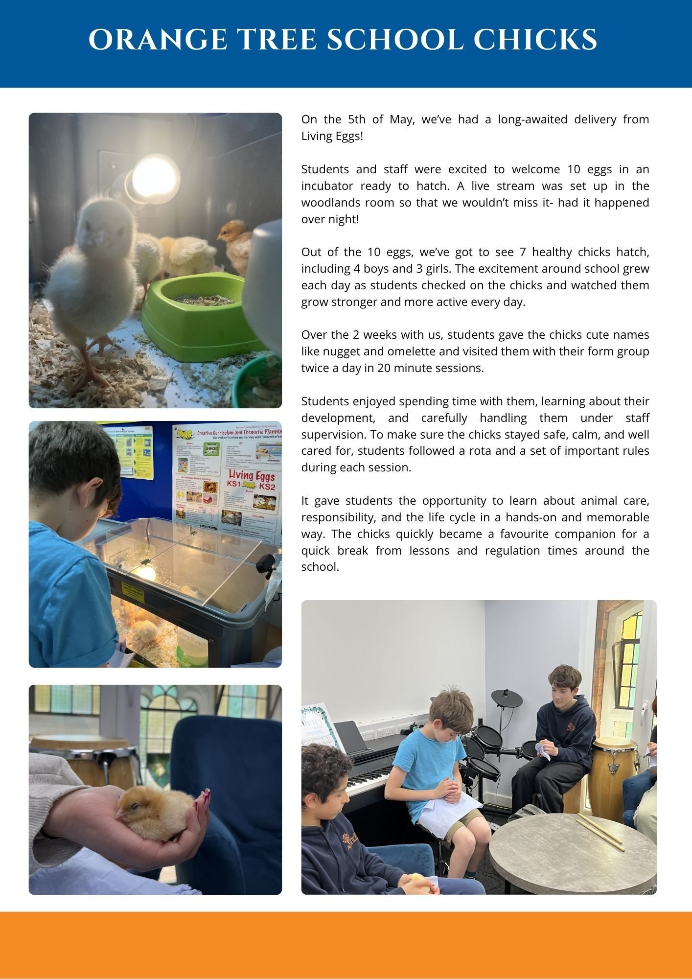 Newsletter May 26 (13)
