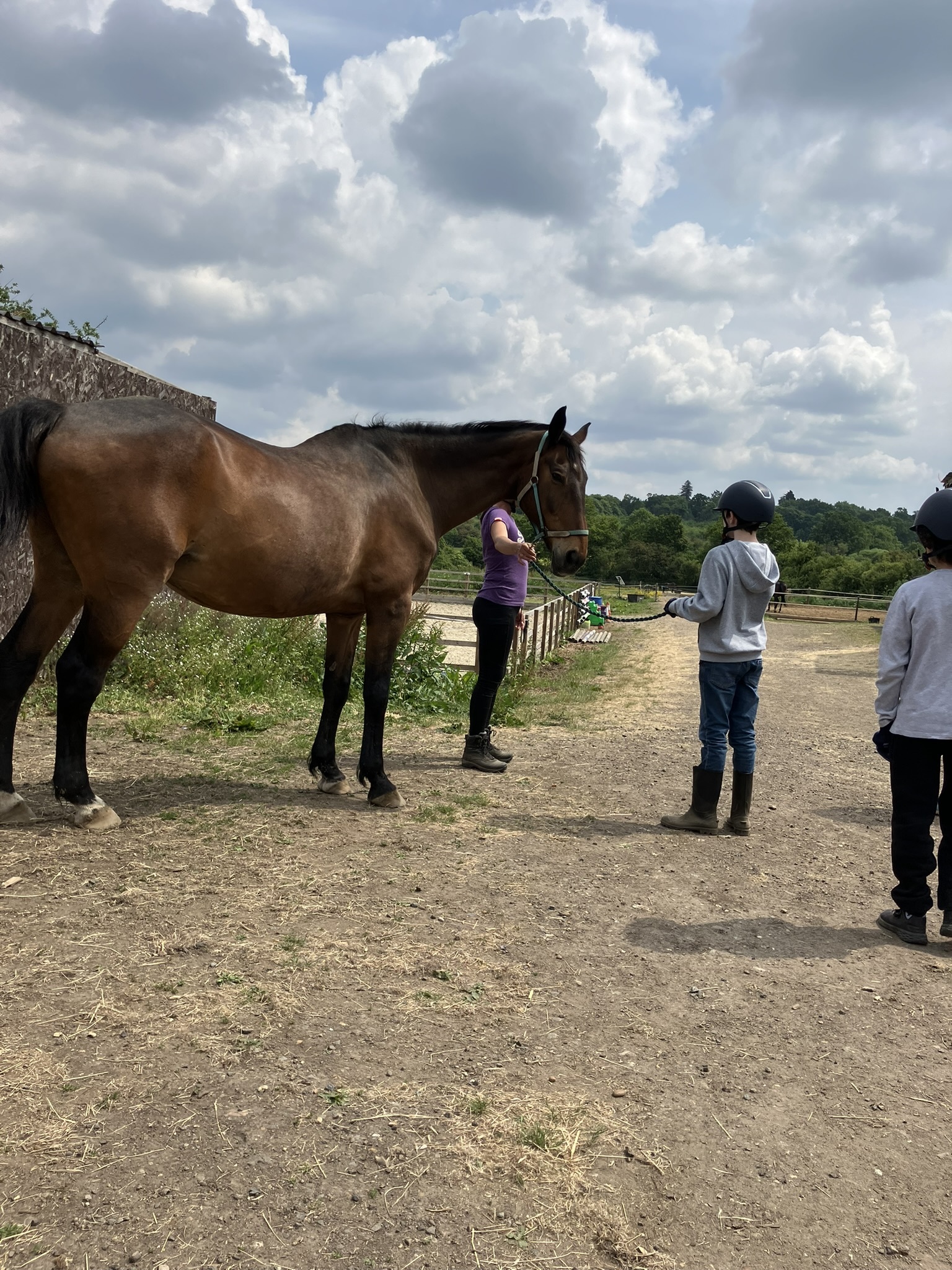 Pupil taking part in a supported equine therapy activity